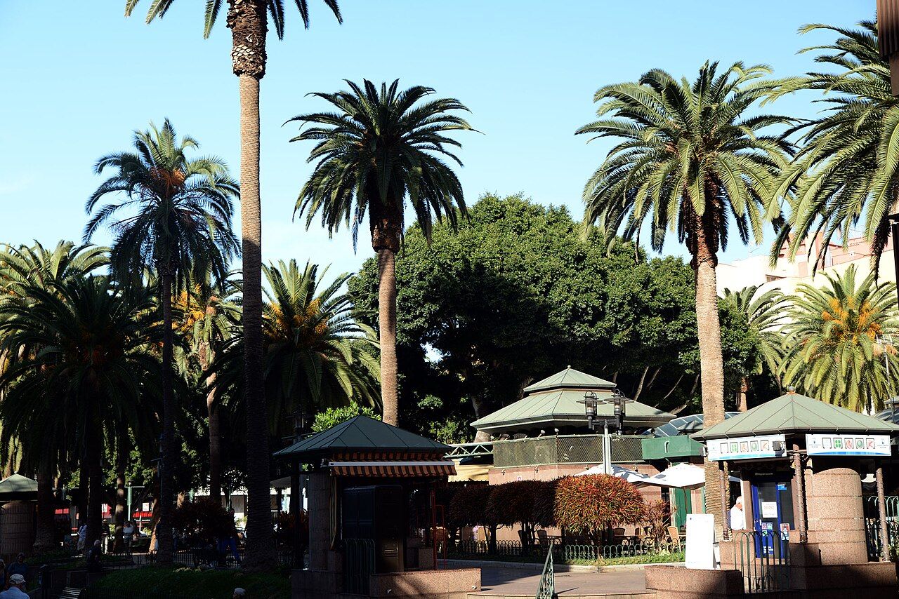 Palm trees and café tables in Plaza del Charco