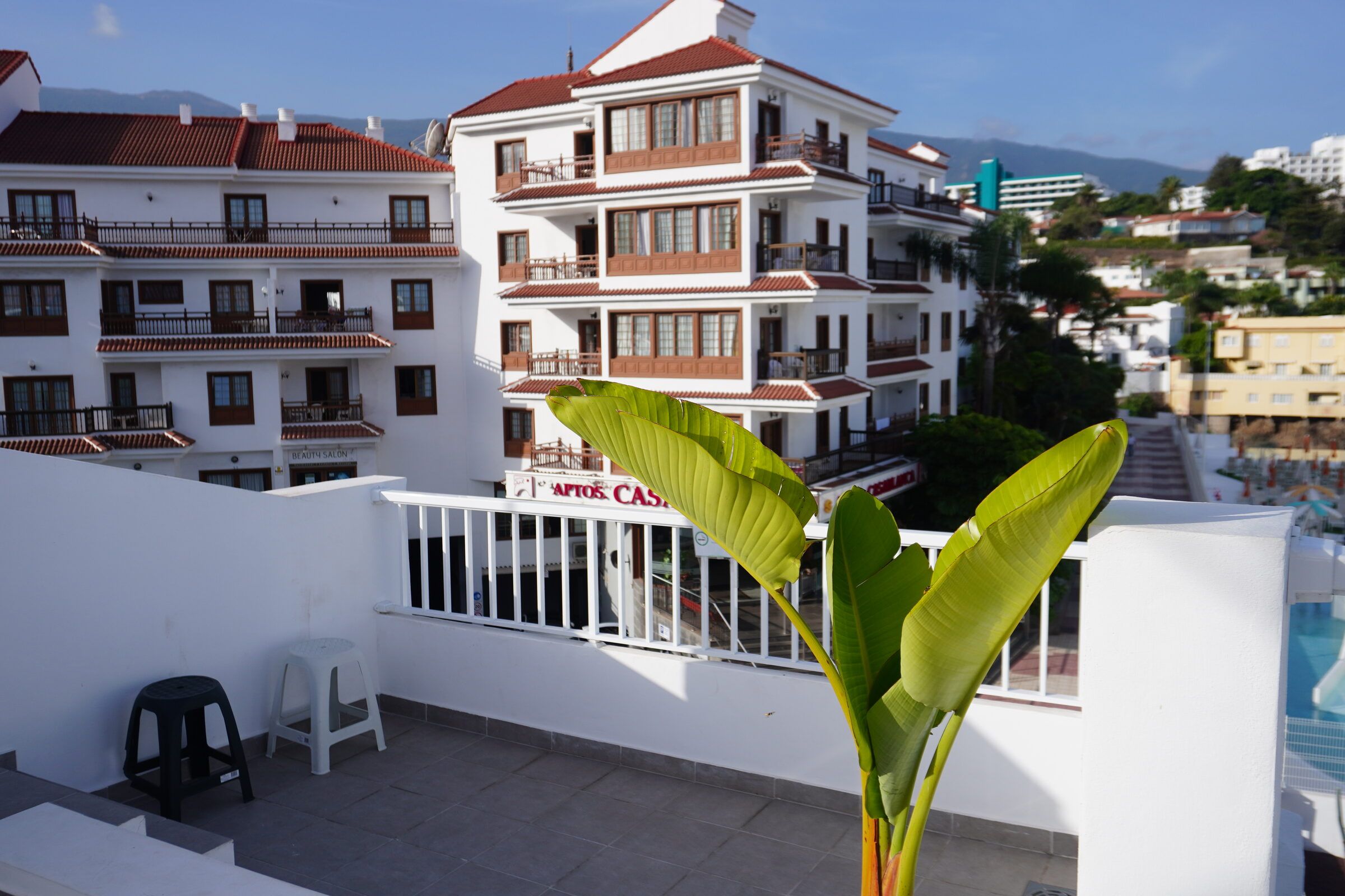 Corner of the rooftop terrace with a banana plant and the town around it
